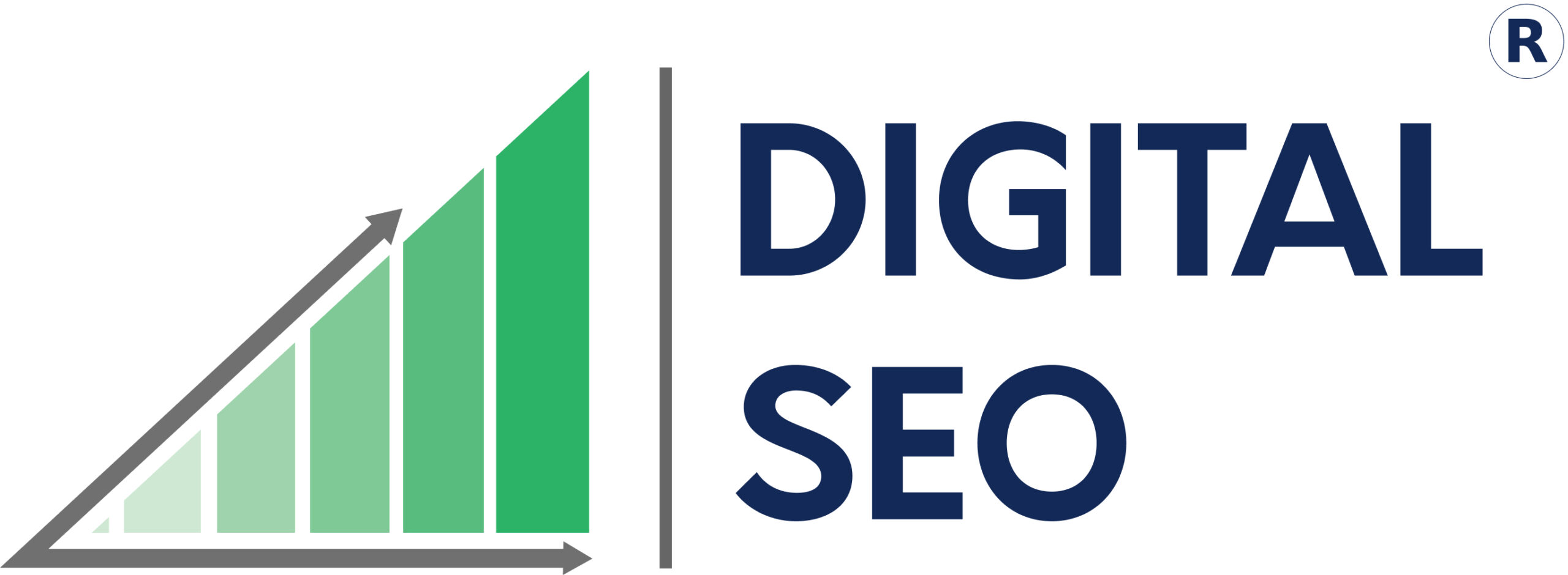 Logo of DigitalSEO - the best Digital Marketing company in Chennai